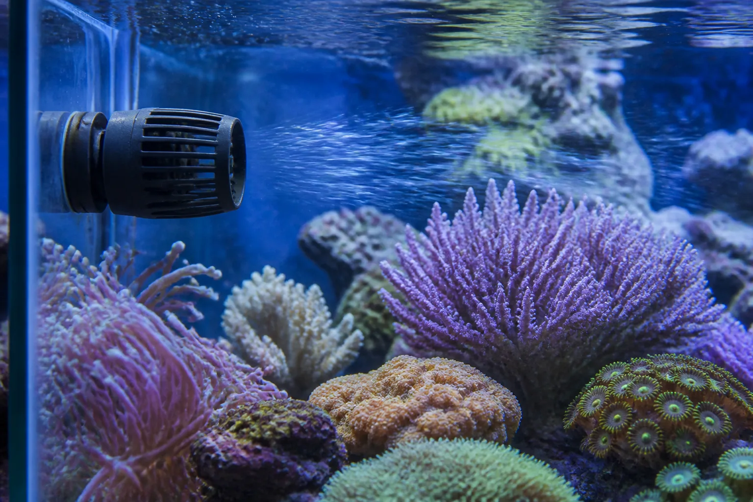 Featured product for Best wavemaker for a nano reef tank
