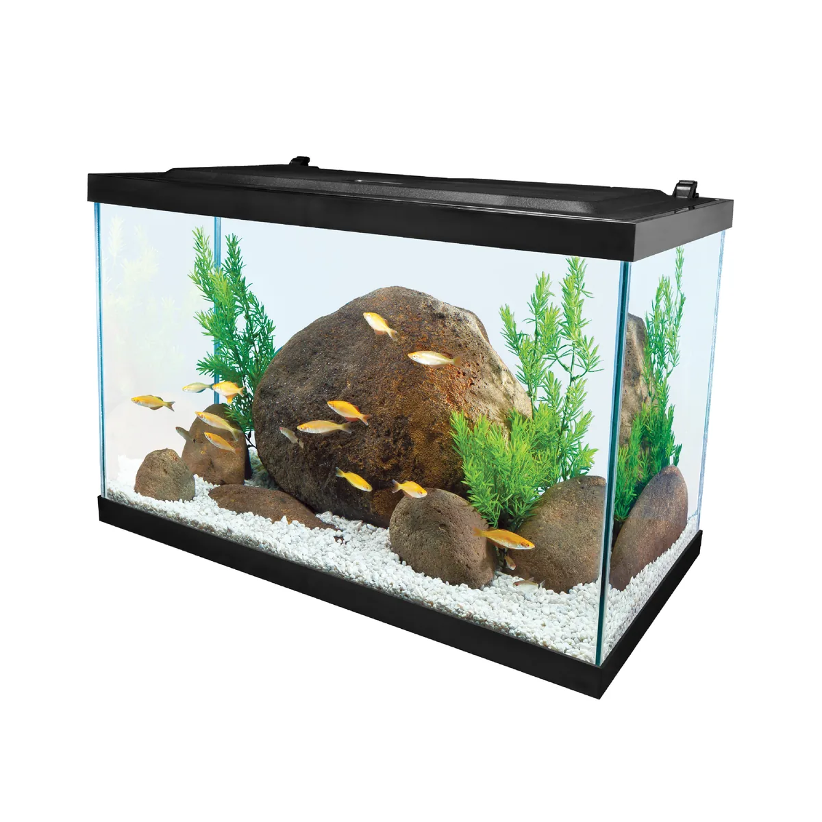 Tetra 20 Gallon Complete Aquarium Kit aquarium starter kit
