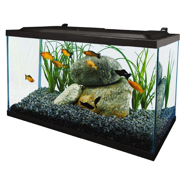 Tetra 10 Gallon Complete Aquarium Kit aquarium starter kit